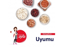 BAKLAGİLLERİN UYUMU