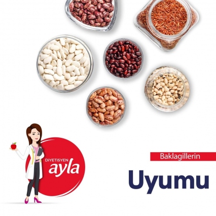 BAKLAGİLLERİN UYUMU