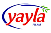 YAYLA PİLAKİ