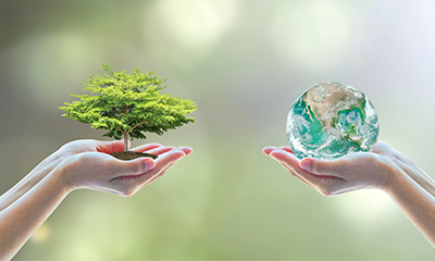 Çevre Duyarlılığı