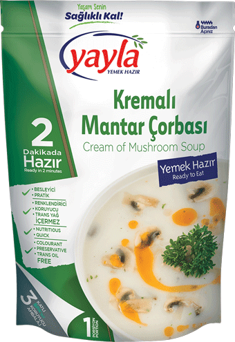 KREMALI MANTAR ÇORBASI