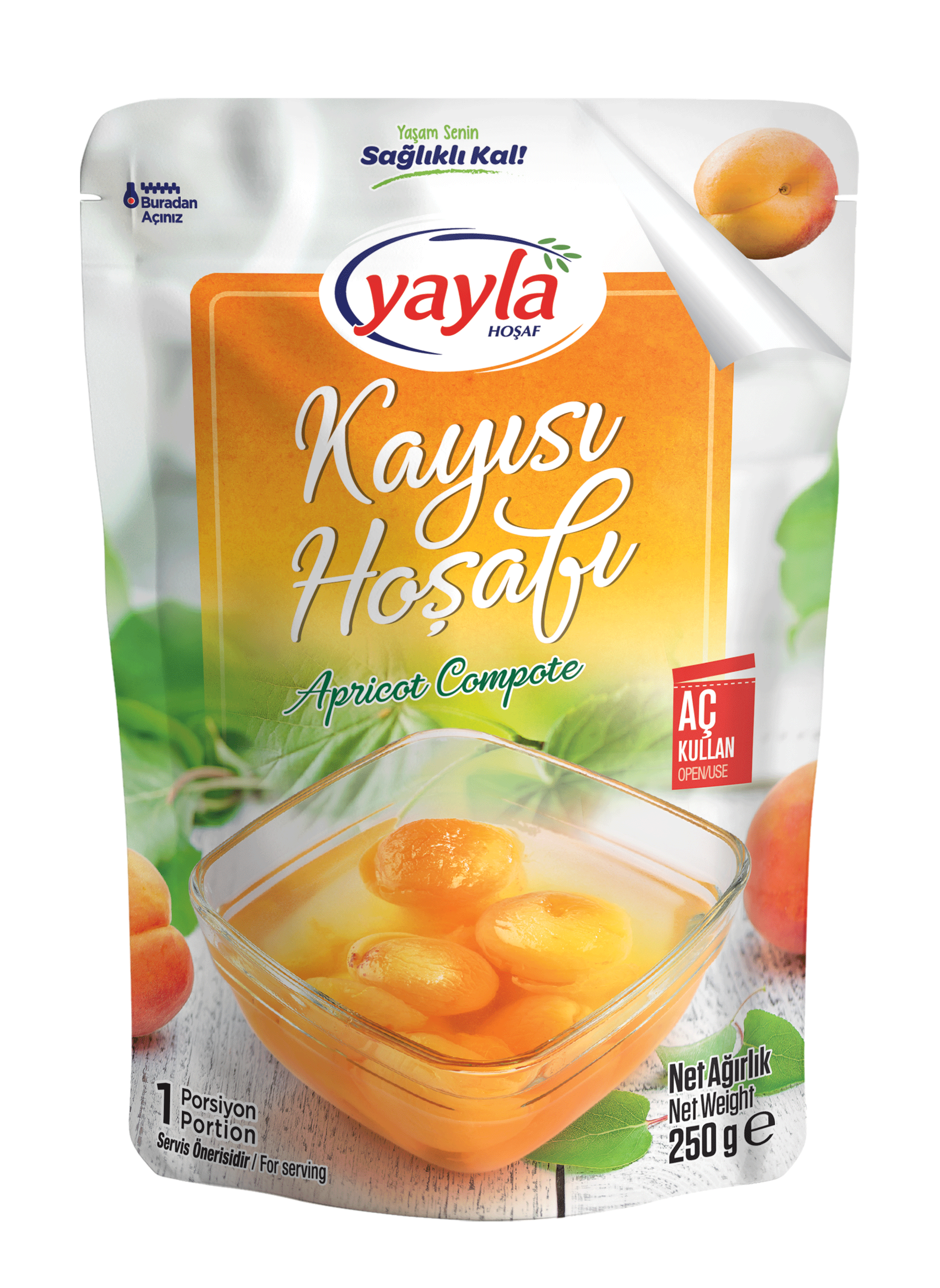 KAYISI HOŞAFI