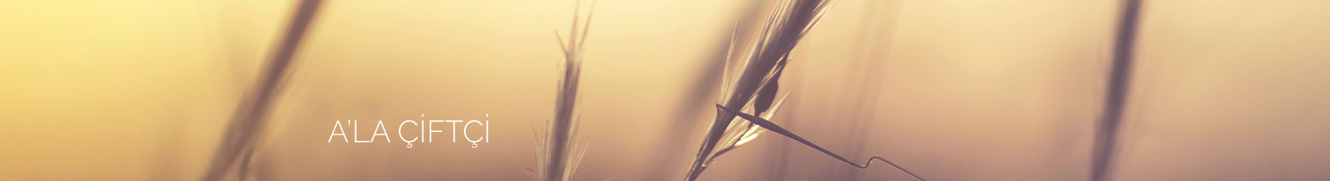 PİLAVLIK İTHAL PİRİNÇ